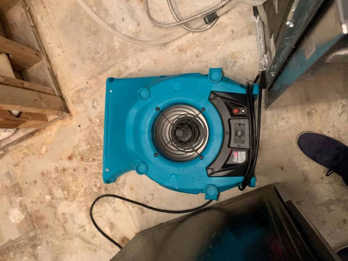 Air mover drying equipment for Mold Remediation & Removal in Alameda